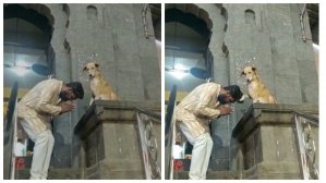 В Индии пёс благословляет верующих