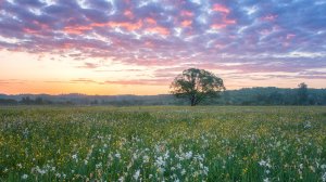 Romantic collection: 8 самых романтических мест Украины