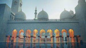 Air Arabia будет ежедневно летать из Украины в ОАЭ