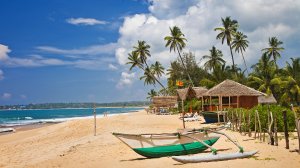 Шри-Ланка отменила карантин, но есть один нюанс