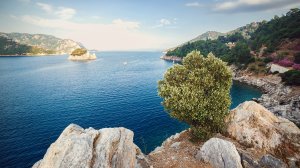 Турецкий лоукостер запустит 2 новых рейса из Украины