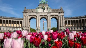 В ЕС назвали точную дату запуска паспортов вакцинации