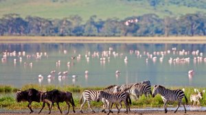 Танзания ужесточает правила въезда в страну