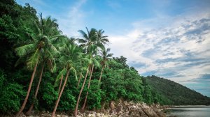 Популярный остров в Таиланде открывается для туристов