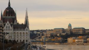 Украина и Венгрия договорились про взаимное признание свидетельств о вакцинации