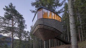 В Норвегии открыли отель на дереве