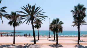 Bees Airline запускают новый рейс из Киева в Барселону