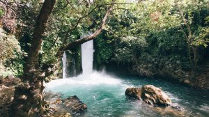 Израиль открывается для иностранных туристов: известны условия въезда