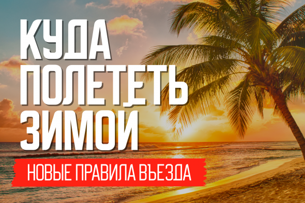 Куда полететь генератор