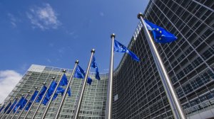 Совет ЕС исключил Украину из «зеленого» списка