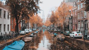 В Нидерландах частично вводят локдаун