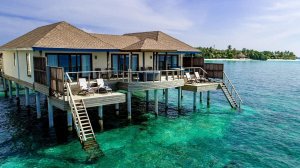 Как выбрать отель с живым рифом на Мальдивах: 7 вариантов от бюджетных до люкса