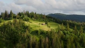 Украина и Россия вошли в десятку самых несчастливых стран