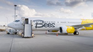 ​​Всё по $65: ценопад от Bees Airline