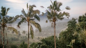 Тёплая подборка: летим в лето от €103