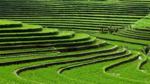 Индонезия усиливает ограничения на Бали и Яве