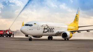 Bees Airline остались без самолетов: возможны задержки рейсов