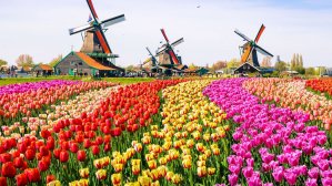 10 мест Украины, где весна особенно прекрасна