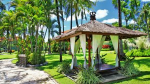 На Бали хоть на 10 лет: в Индонезии появится новый тип виз