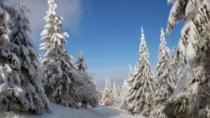 «Укрзалізниця» запускает «Лыжный экспресс» в Славское на время зимних праздников