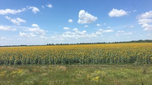 Wi-Fi на западных пограничных пунктах Украины