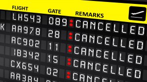Что делать, если отменили рейс из-за забастовки?