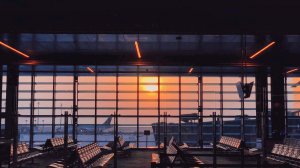 Wizz Air выплатит компенсации за отмену и задержку рейсов