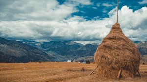 Air Ocean Airlines хочет начать полеты из Ужгорода: как отреагировала Закарпатская ОВА