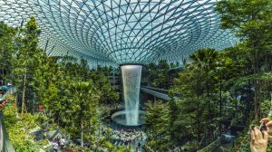 Сингапурский аэропорт впоследствии откажется от проверки паспортов