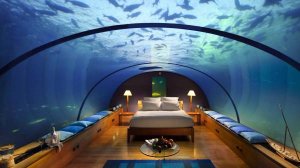 В стиле Немо: подводные гостиницы