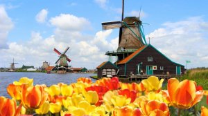 Не Амстердамом единым - впечатления от поездки в Нидерланды
