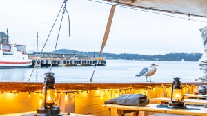 Пора планировать зимние каникулы: билеты из Польши в Париж, Барселону, Ларнаку от €27