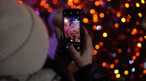 В Киеве и Львове засияли огнями новогодние елки