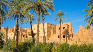 Известный авиаперевозчик запускает 35 новых рейсов из Марокко