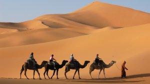 ТОП-10 направлений из Будапешта по выгодным ценам: авиа от €61