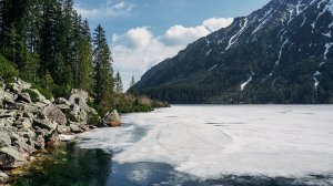 Бесплатный проезд: Польша вводит нововведения в общественном транспорте