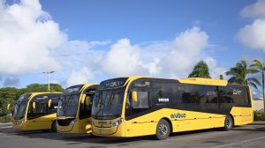 Распродажа от Ecolines: билеты из Варшавы по низкой цене