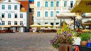 В каких городах Европы можно пользоваться общественным транспортом бесплатно?