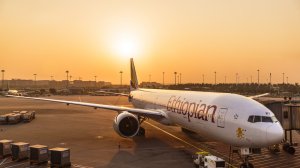 Удобное сообщение: Польша находит нового авиапартнера в Африке