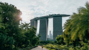 Отель Сингапура гарантирует посетителям компенсацию за плохую погоду