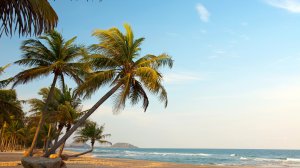 Голубой флаг: названы самые чистые пляжи мира