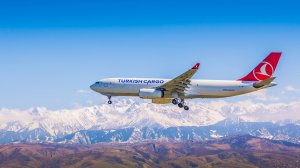 Авиаперевозчик Turkish Airlines расширил сеть полетов до  США