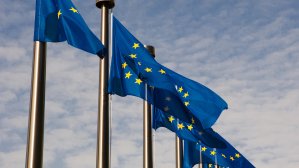 Три страны Евросоюза изменили правила получения EU Blue Card 