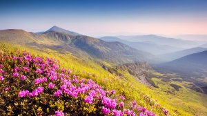 Многие туристические маршруты на Прикарпатье попали под запрет