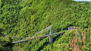 Франция продлила скидки на проезд поездами до конца сентября