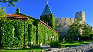 Любите вкусно поесть? Тогда вам срочно в Белград!