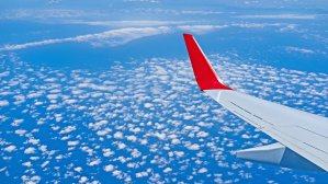 Turkish Airlines запустит новые рейсы в Австралию и Америку