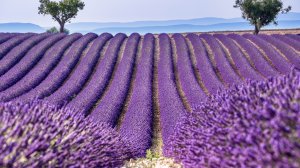 Ya se conocen los 10 países más visitados en 2024