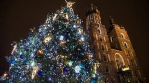 Елку в Польше признали самой красивой в мире в 2024 году