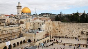 Авиакомпании постепенно возобновляют рейсы в Израиль